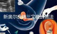 新奥尔良烤三文鱼的做法